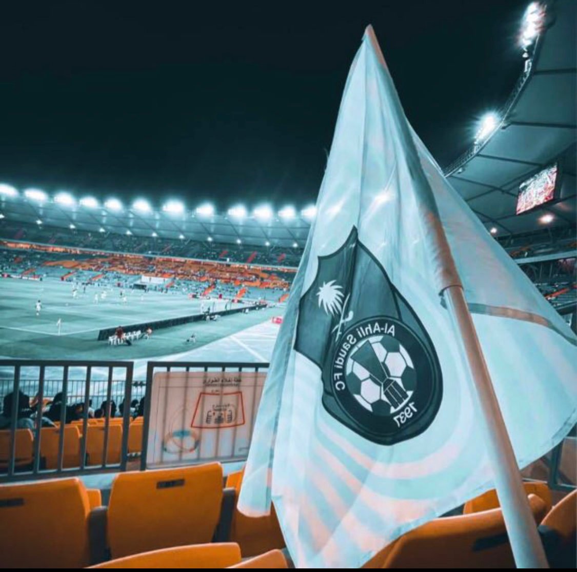 ندى محمد الشريف