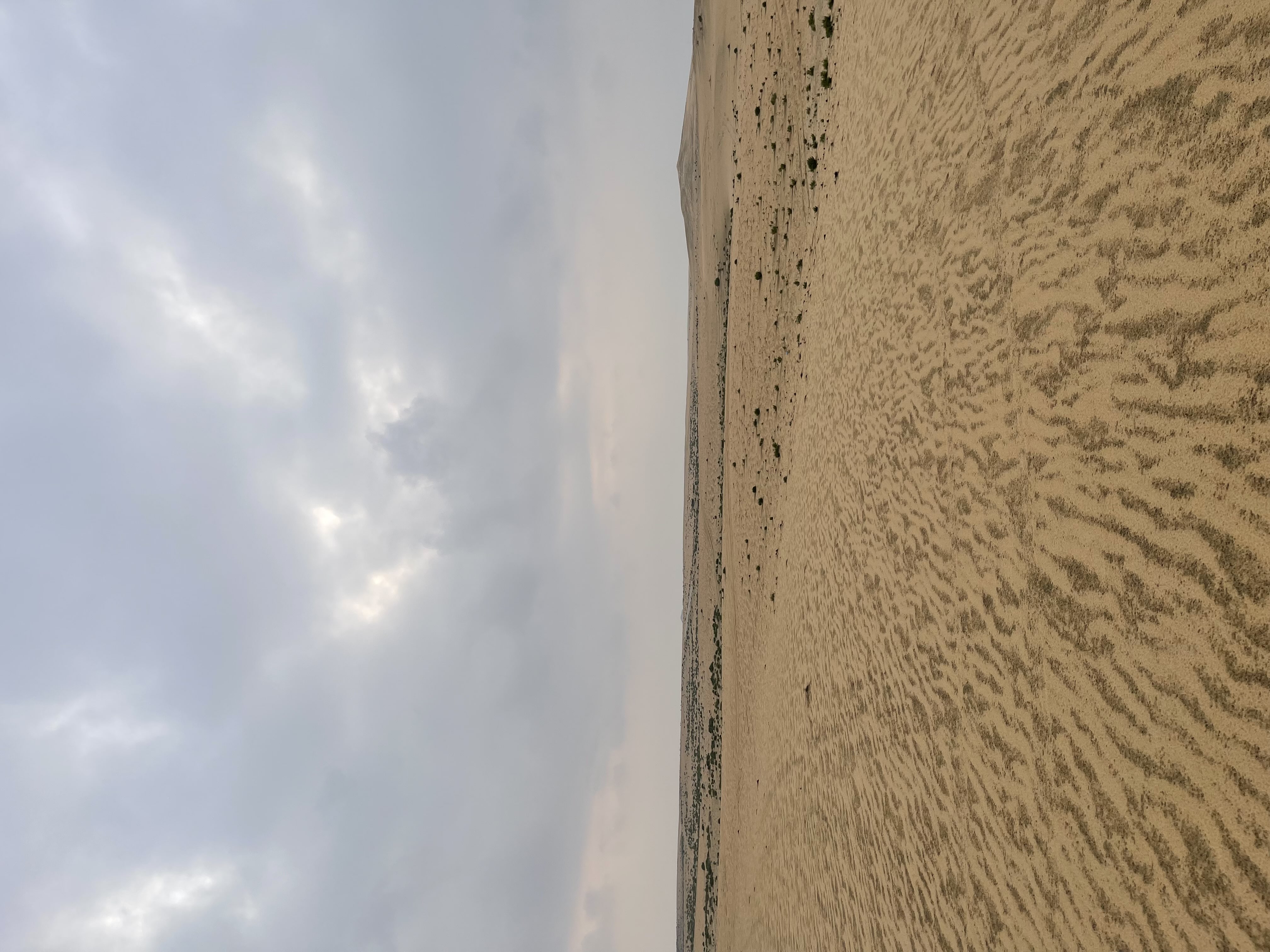 خليف الرشيدي