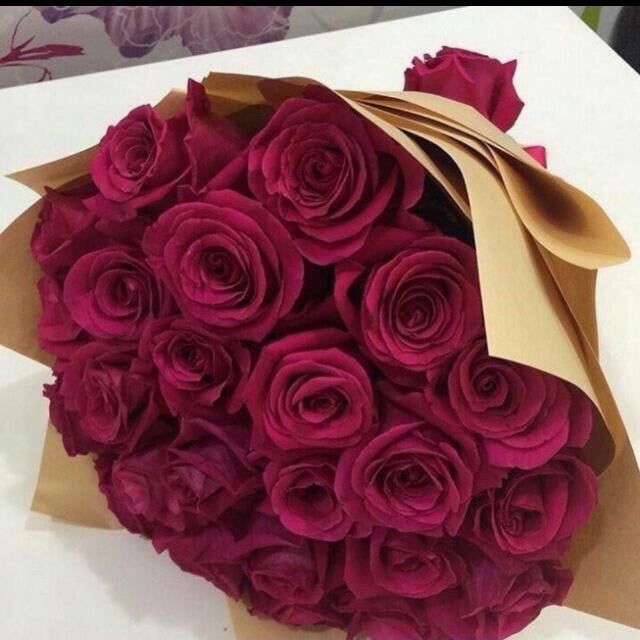 روان الفايدي