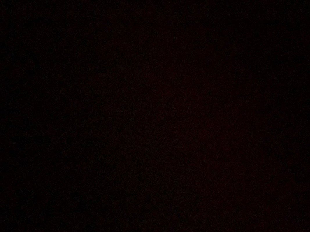 انفال الفهد