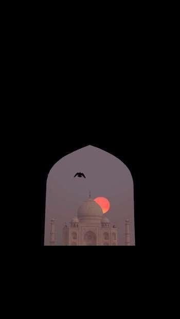 علي الزهراني