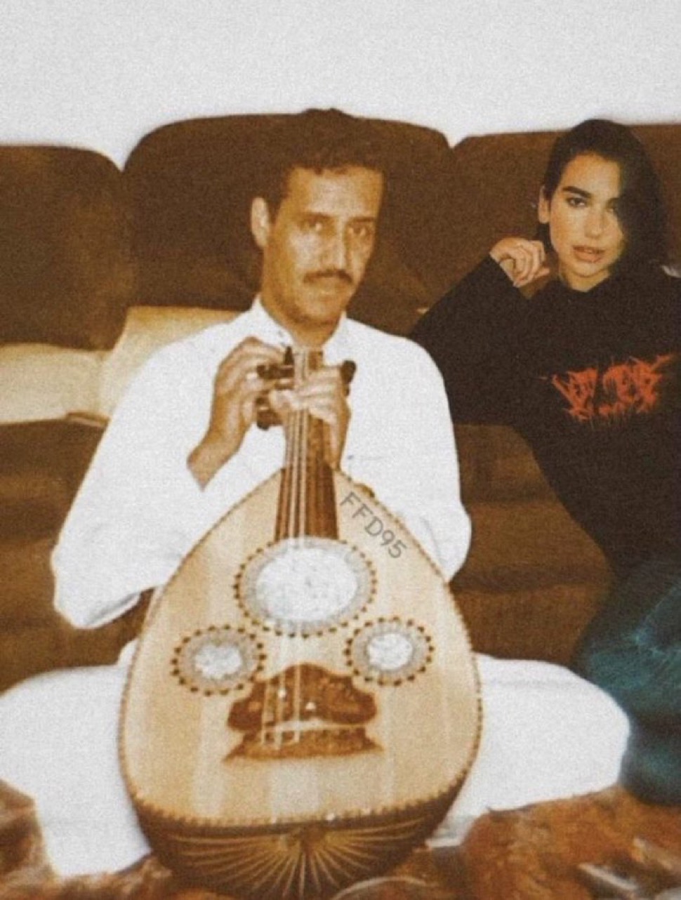 ميني بان