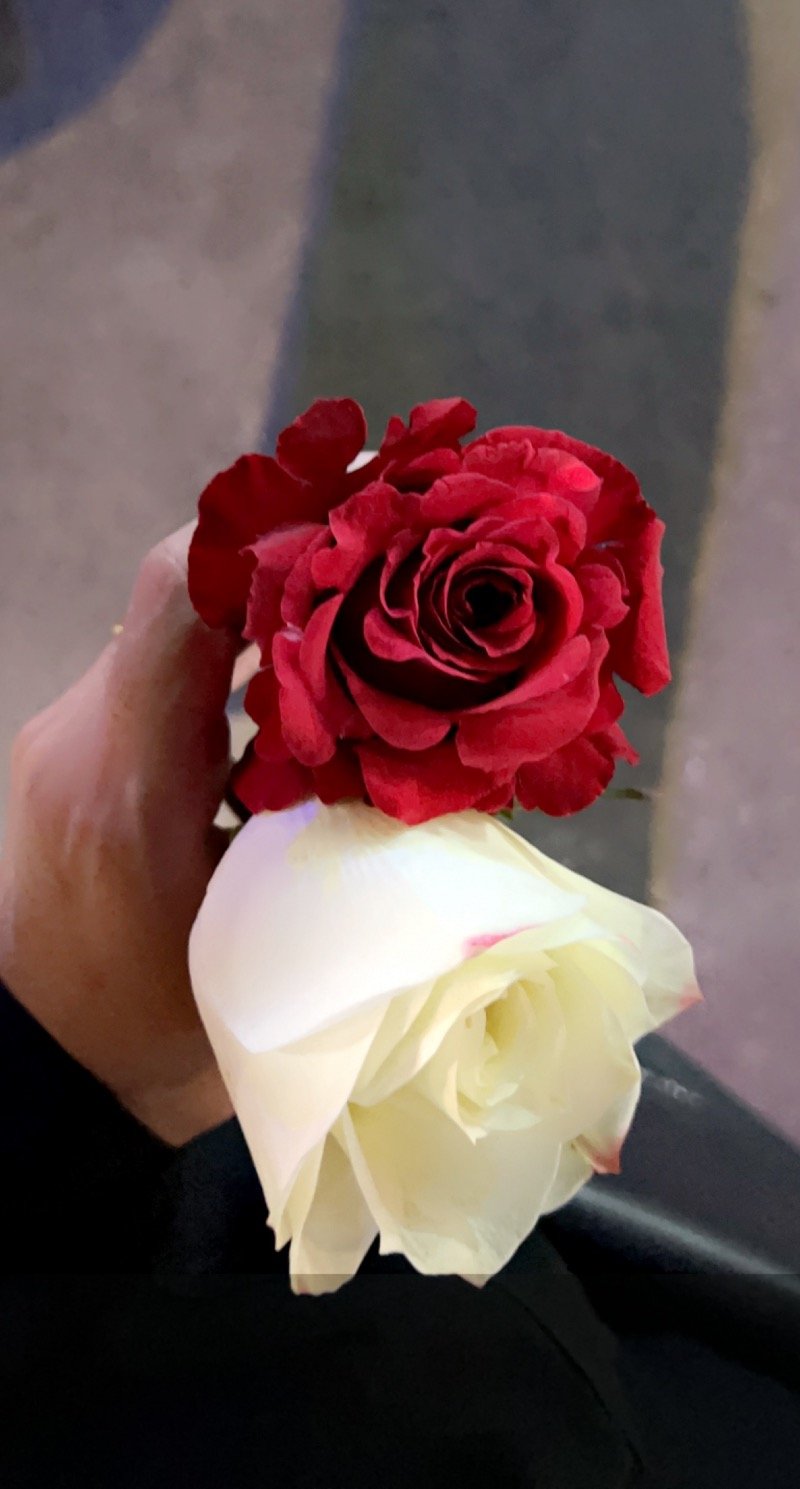 نور محمد المسعودي