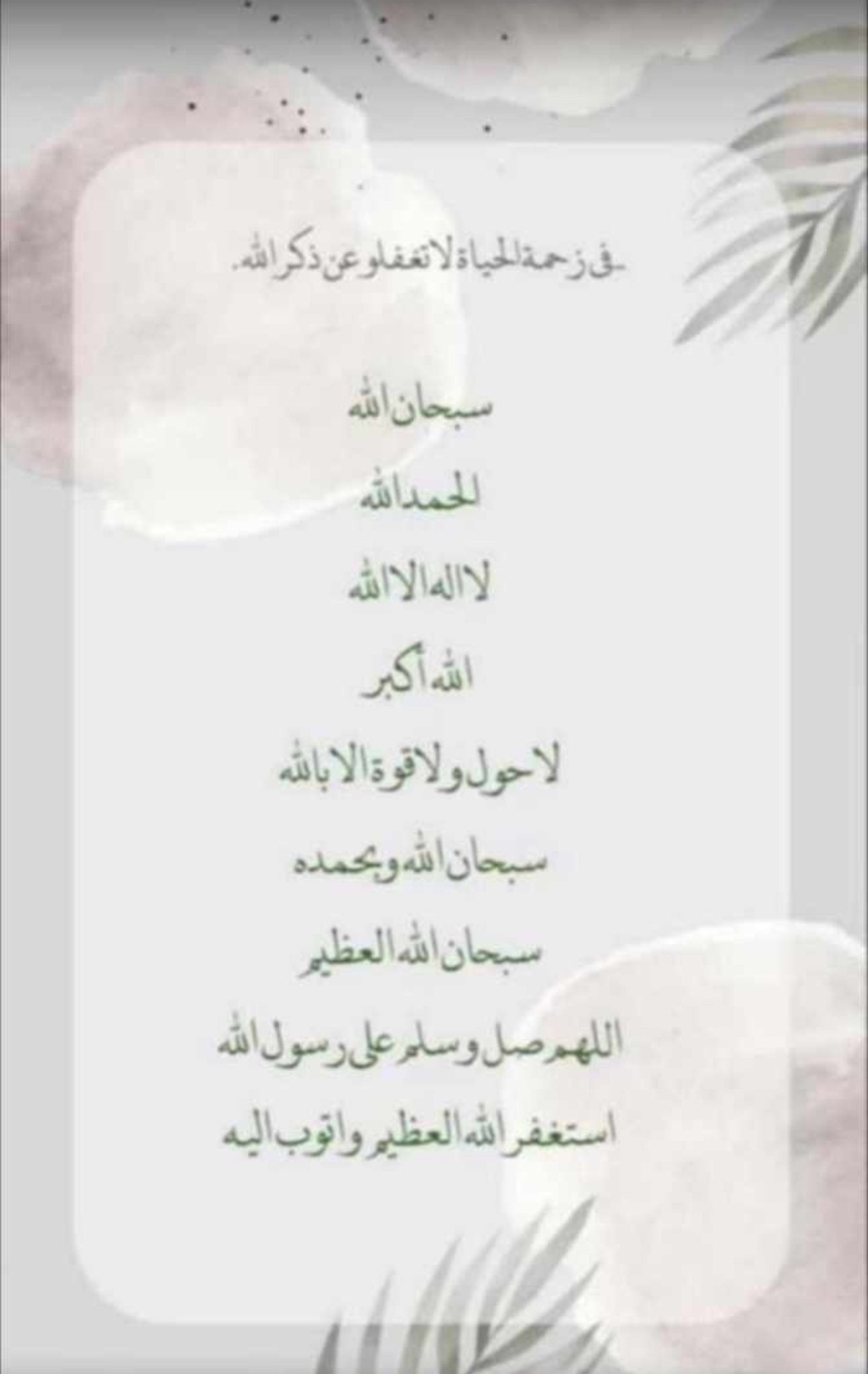 ماجده الجابري