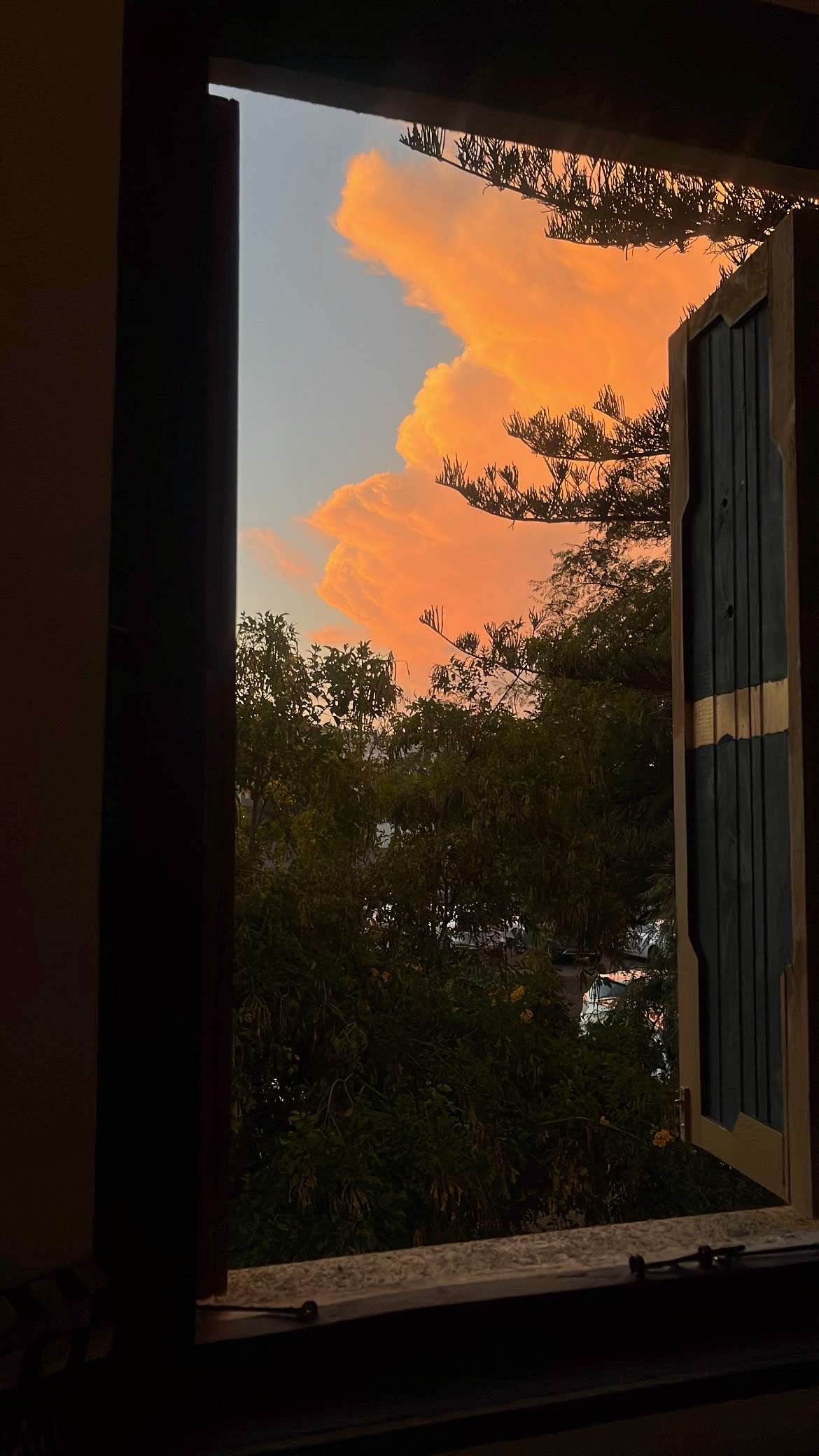 شهد القحطاني