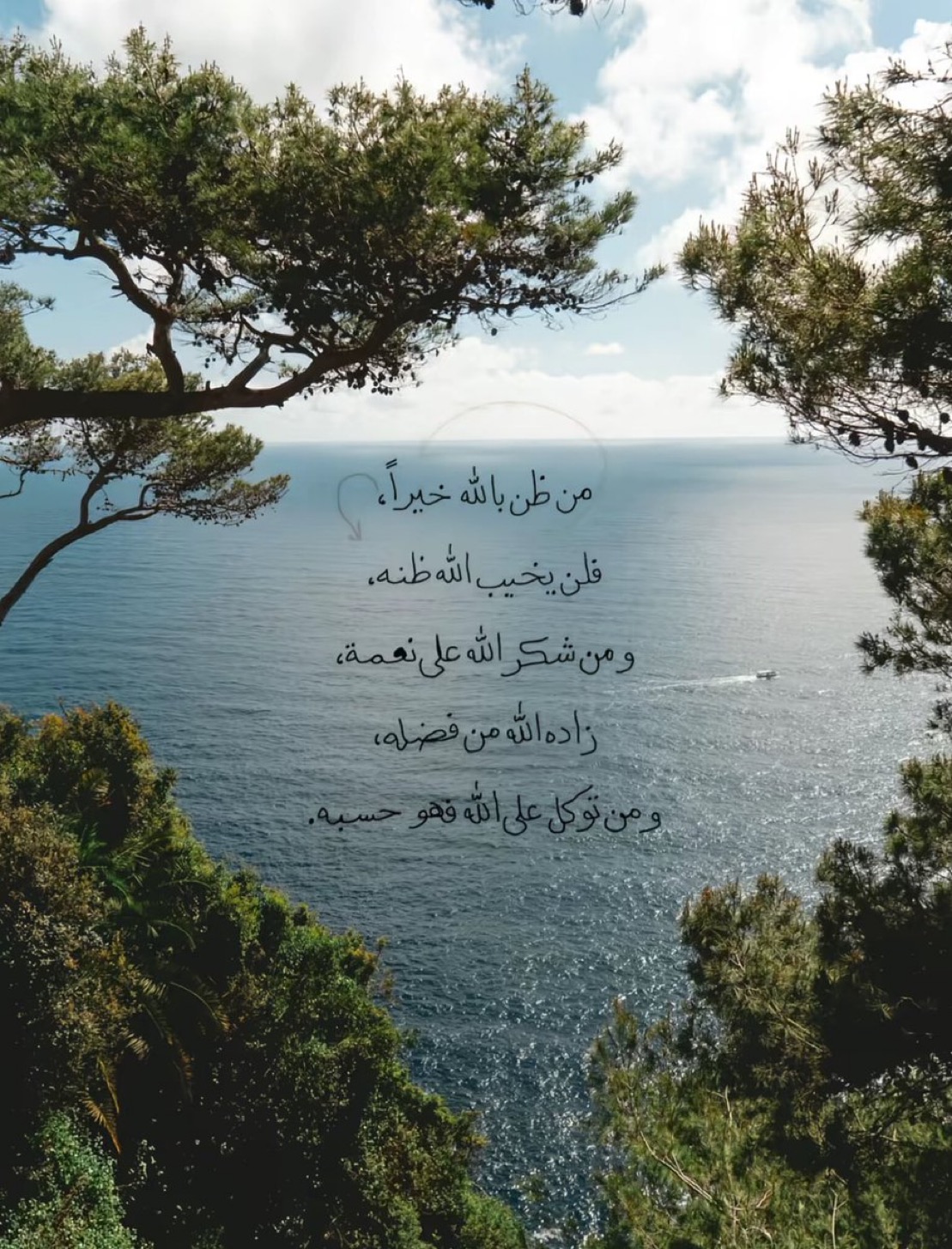روى محمد