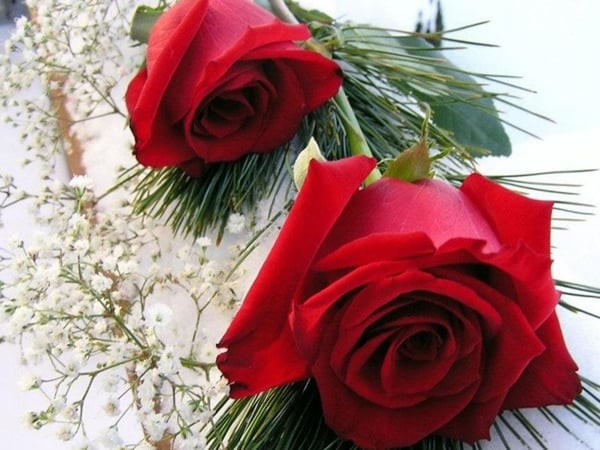 فهد العتيبي