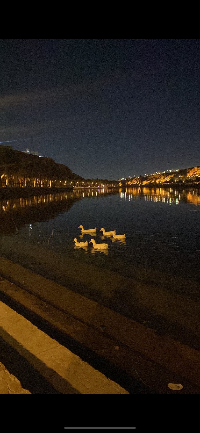 منى المطيري