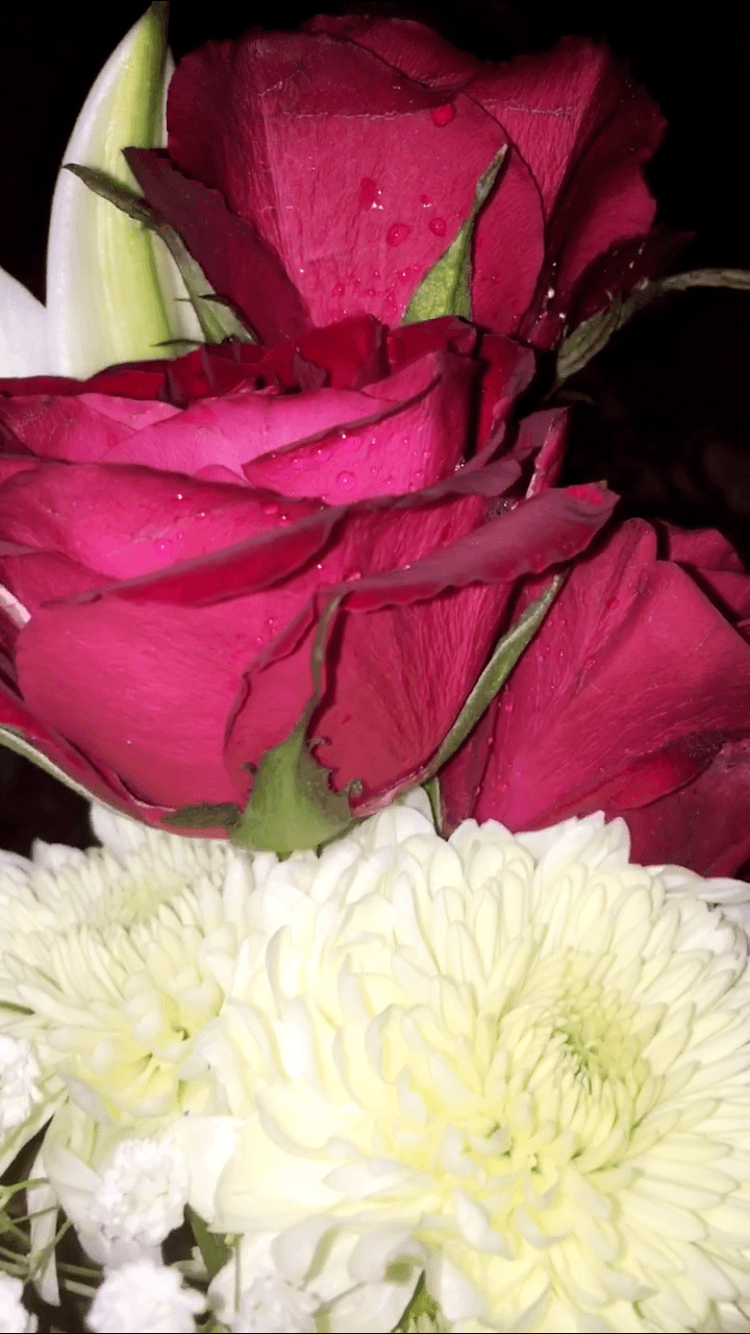 هاجر السليم