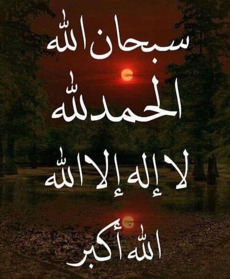 مشعل العنزي