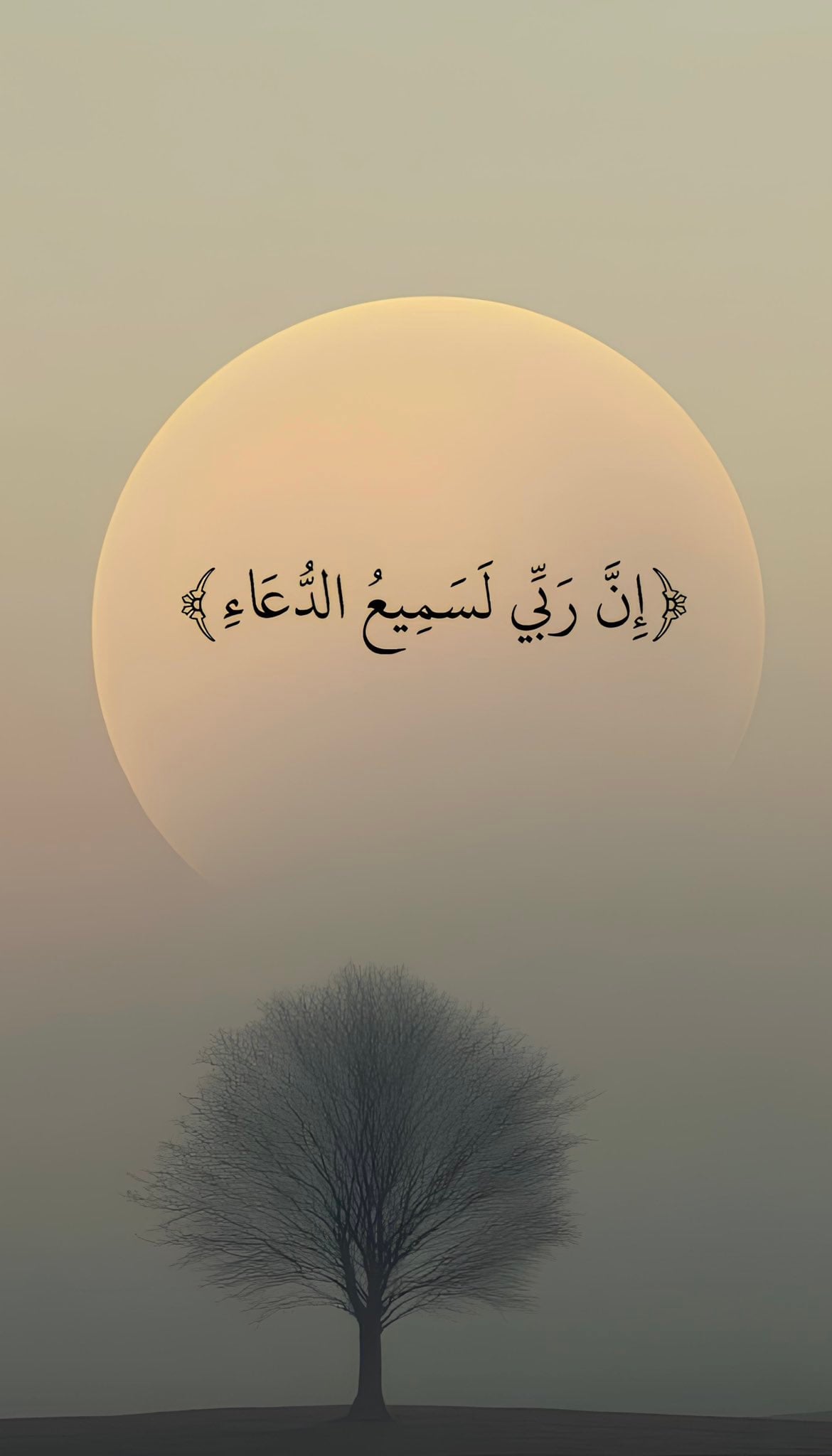 ام نواف
