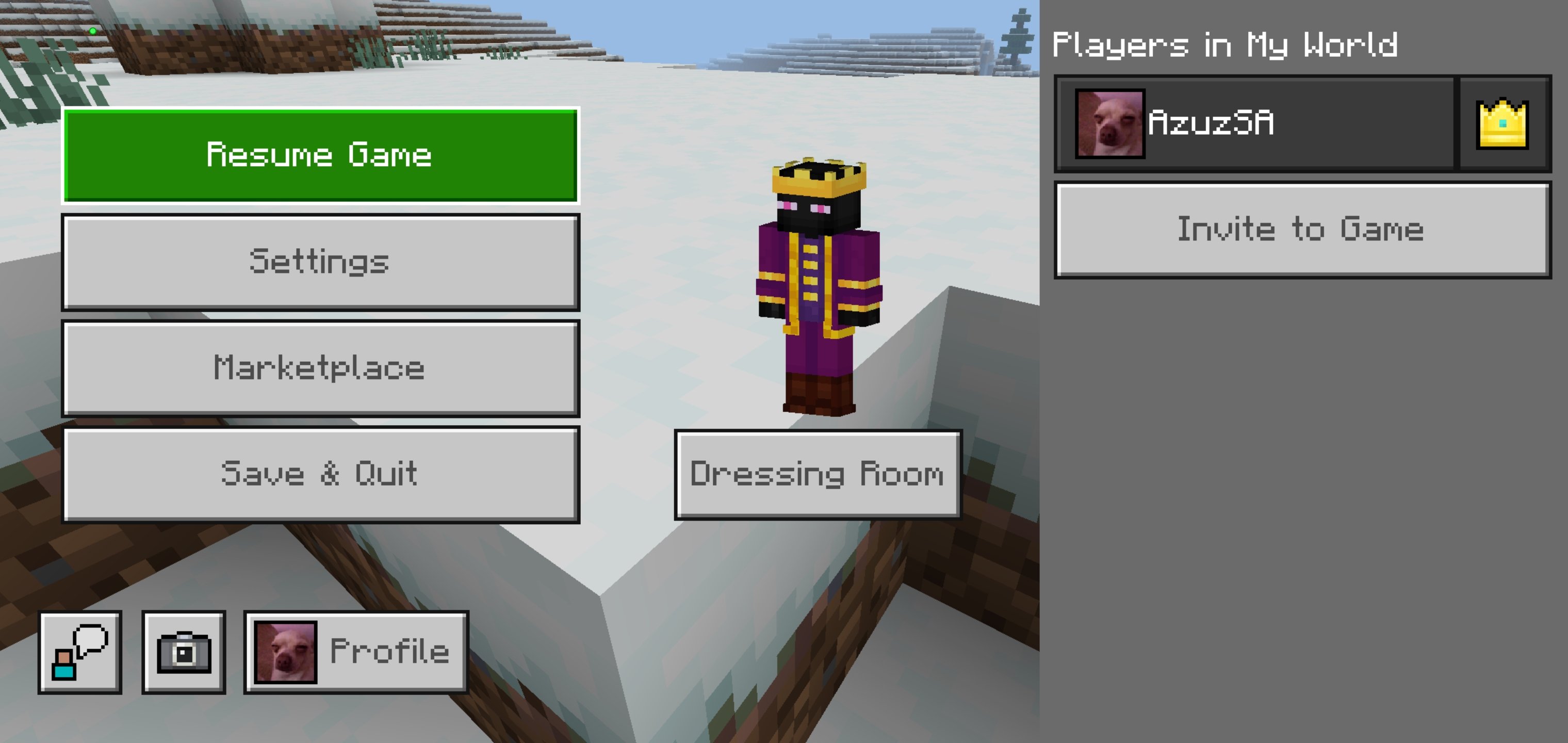 عبدالعزيز فارس