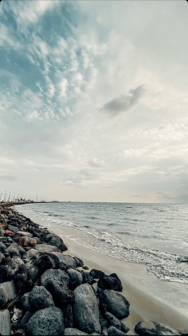 ايمن الفقيه