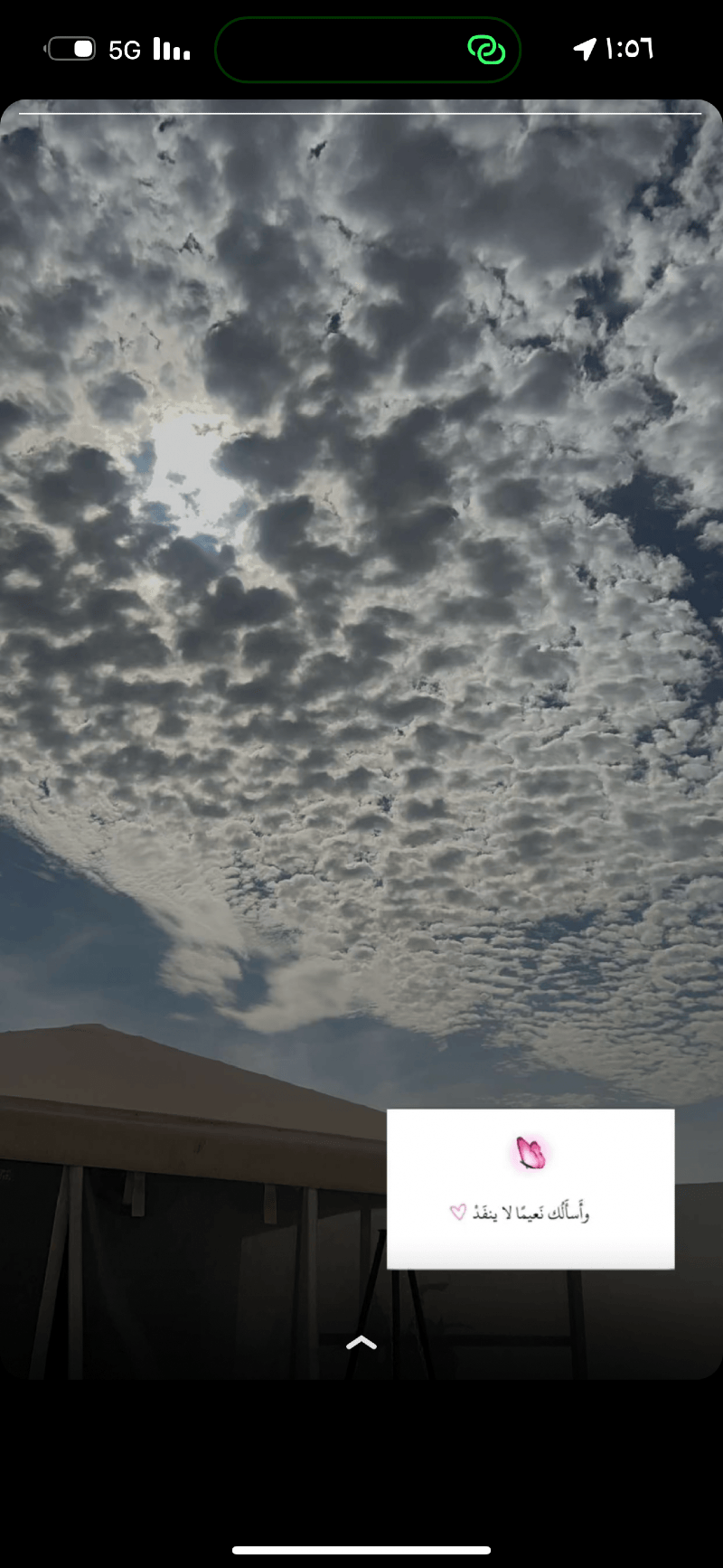 نايف العدواني