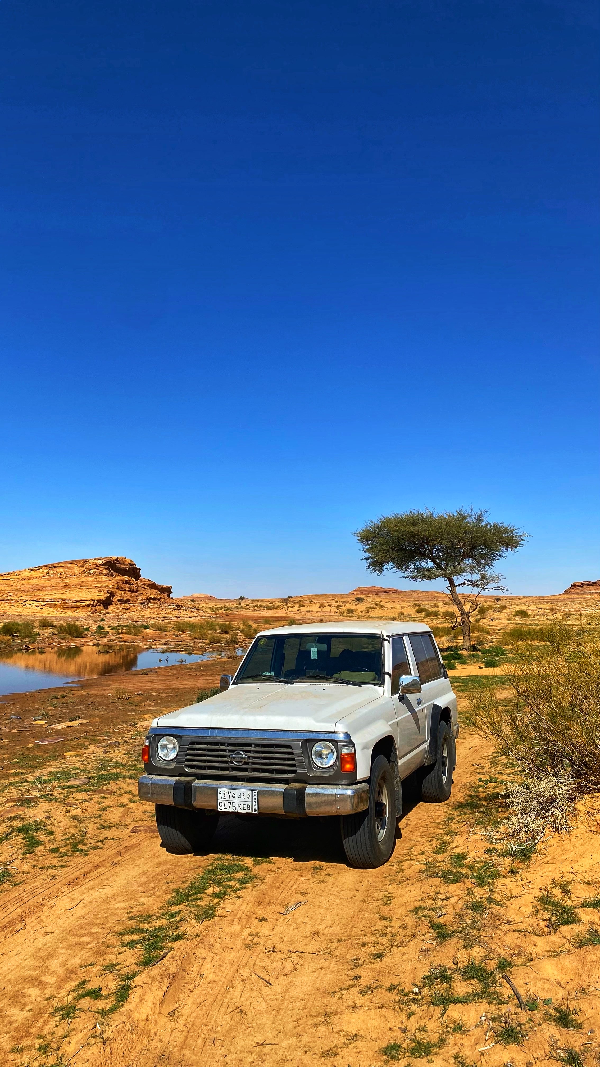 احمد الموسى