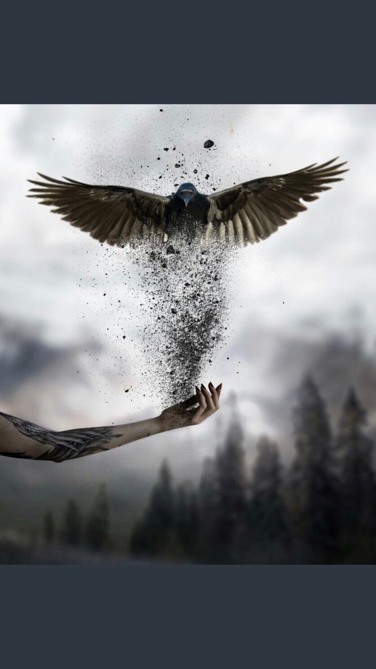 جواهر الوصابي