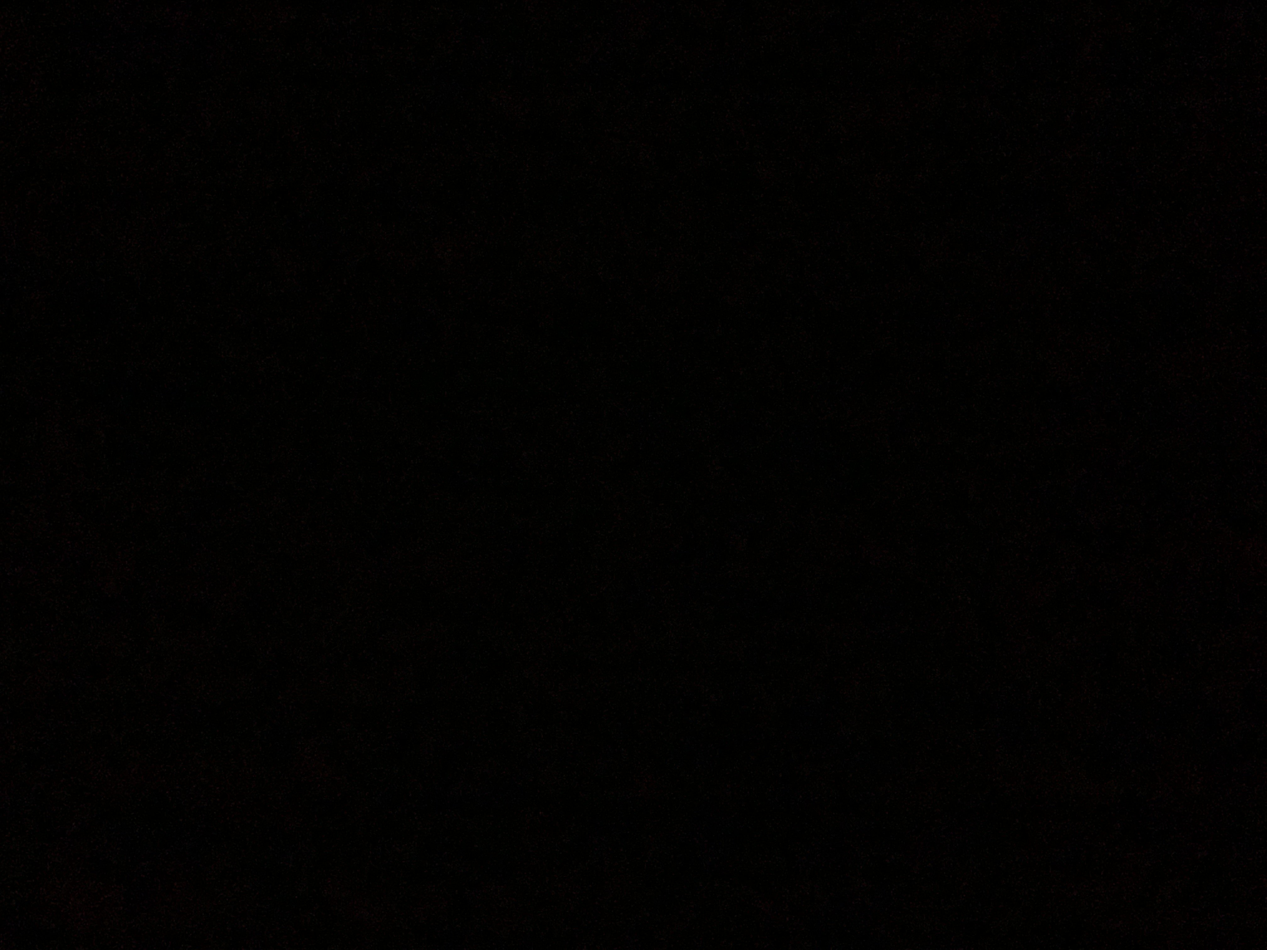 ابو شيهانه اليامي