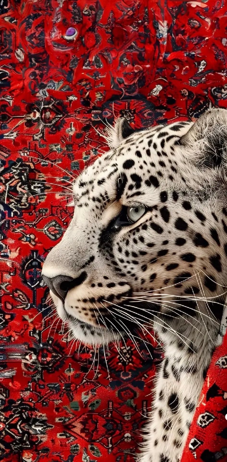 محمد الشيباني