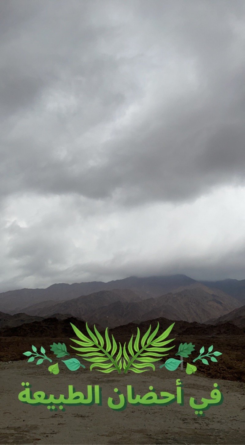 بندر السعودي