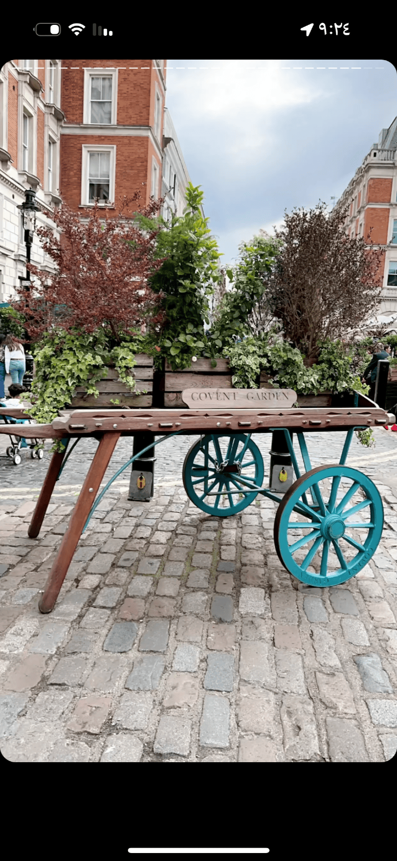 إيمان الحارثي