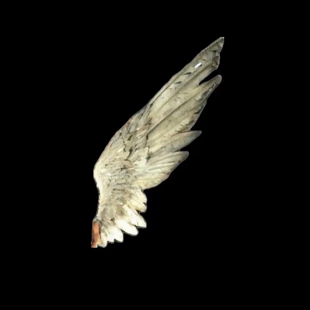 لاره الحربي