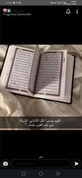 محمد الشمري