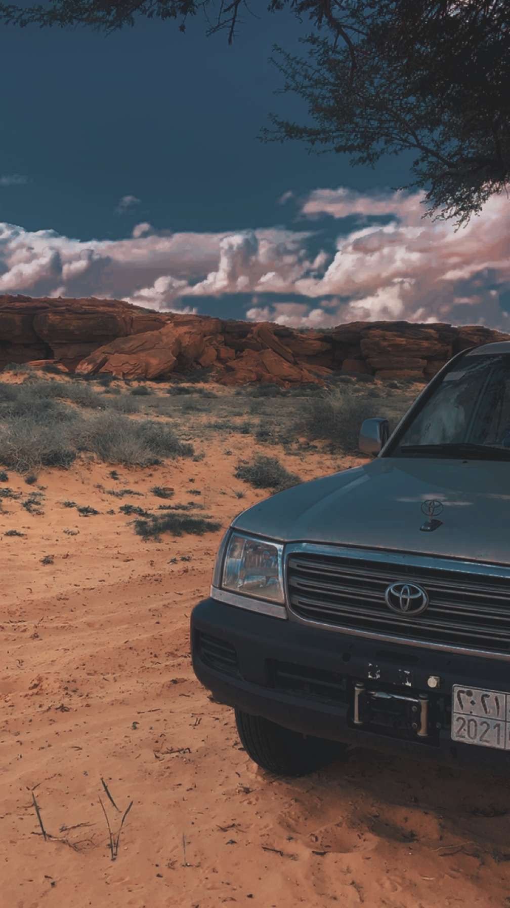 عبدالرحمن العنزي