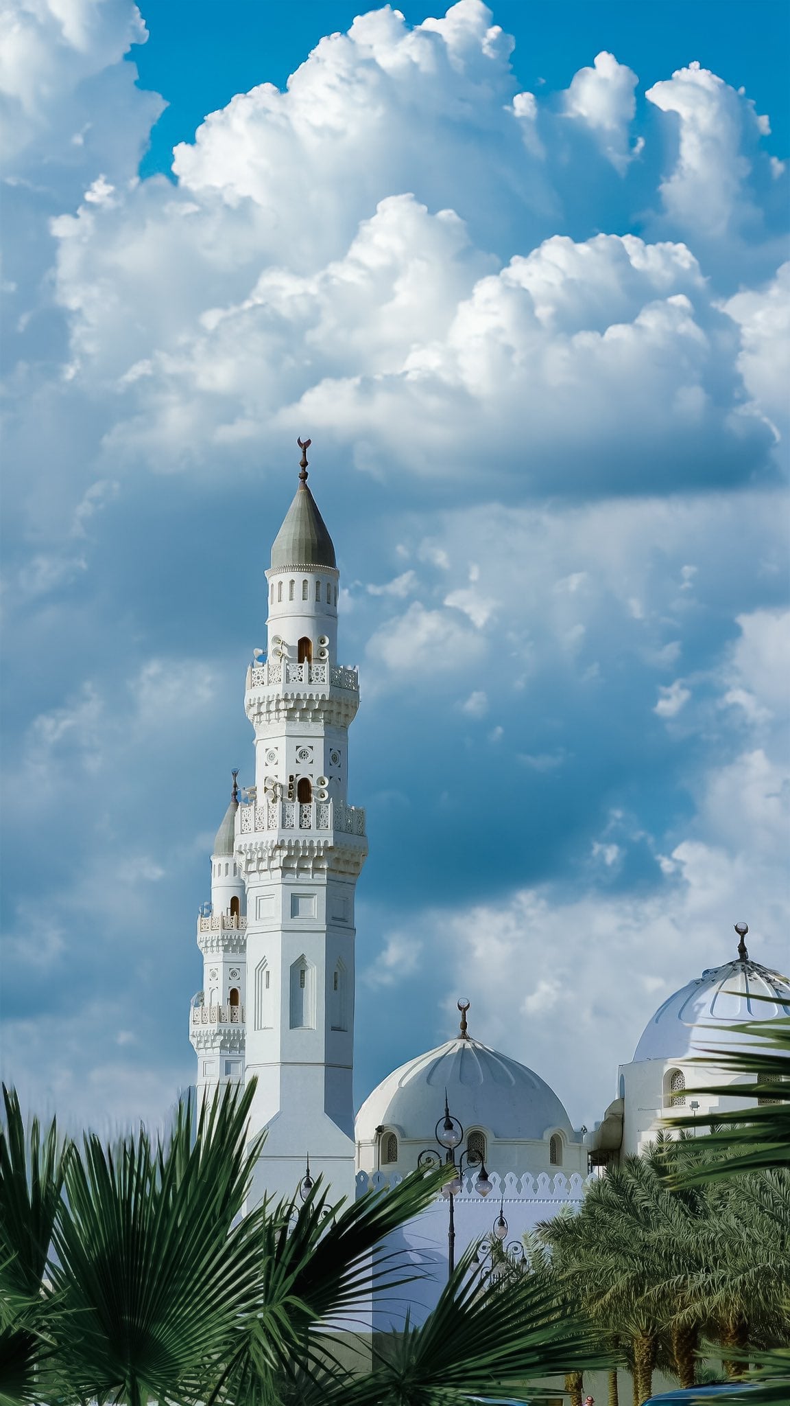 حصه صالح