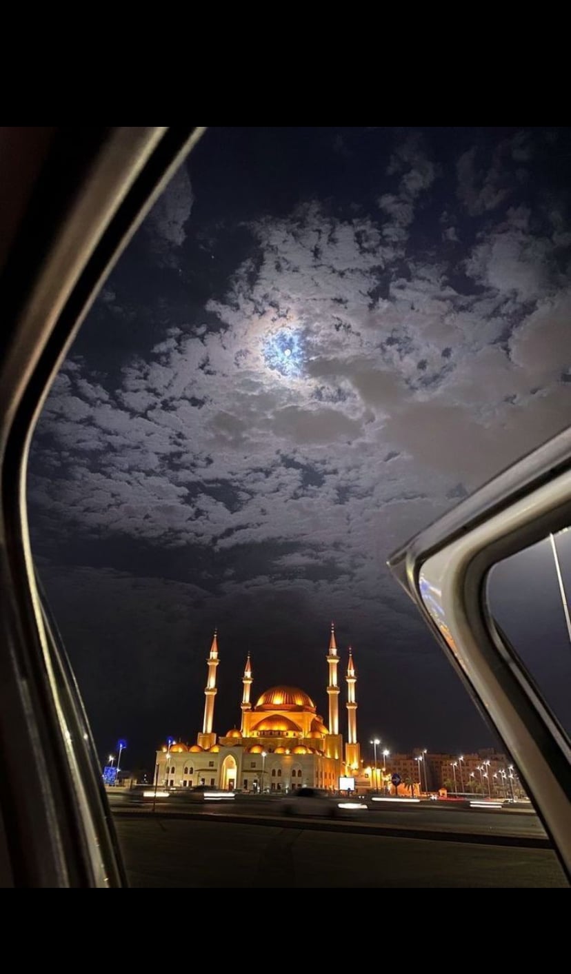 منيرهه الحربي