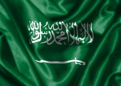 محمد الصاعدي