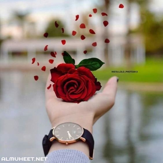 فوزيه دخيل الله العتيبي