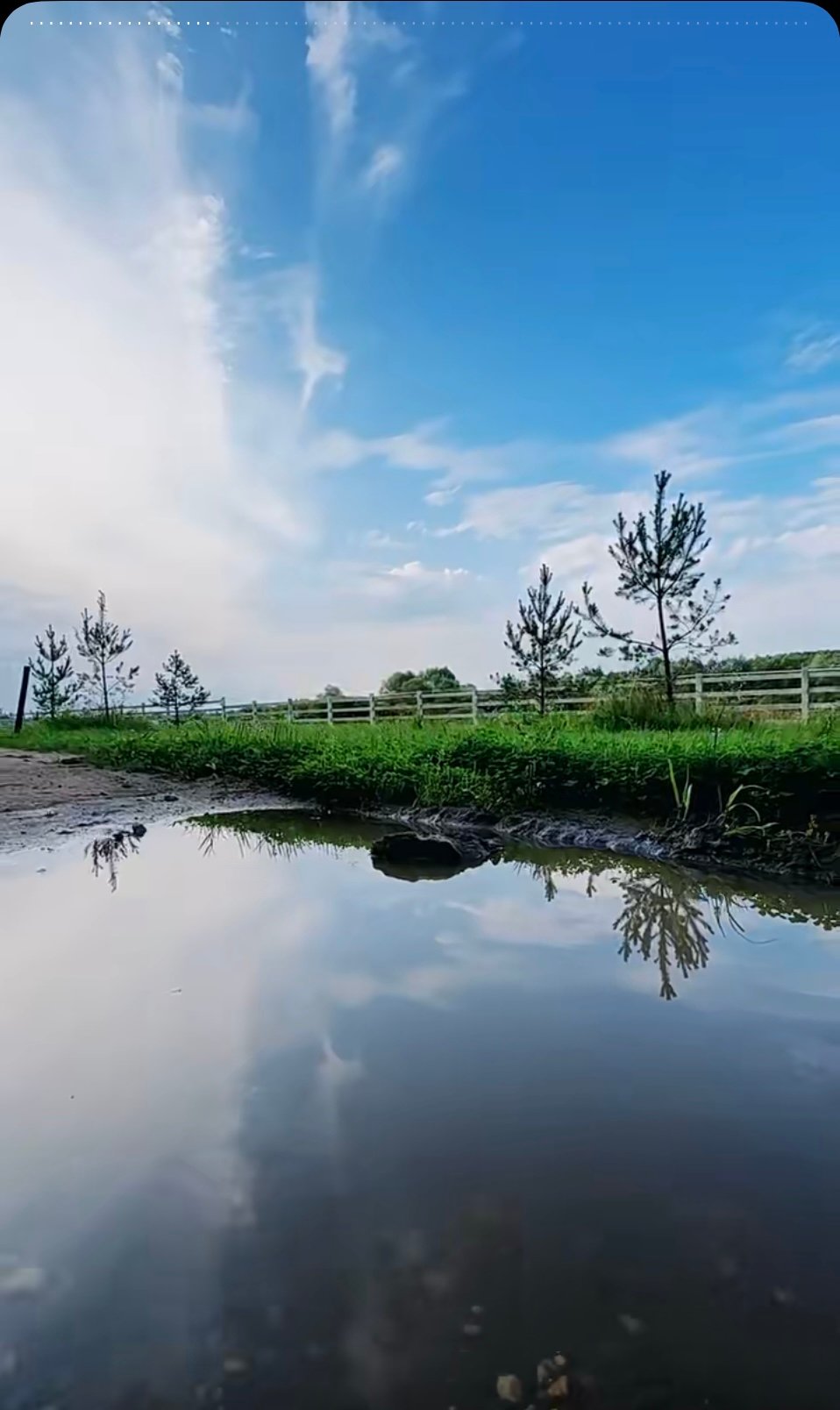 رمانة|Romanh 💄