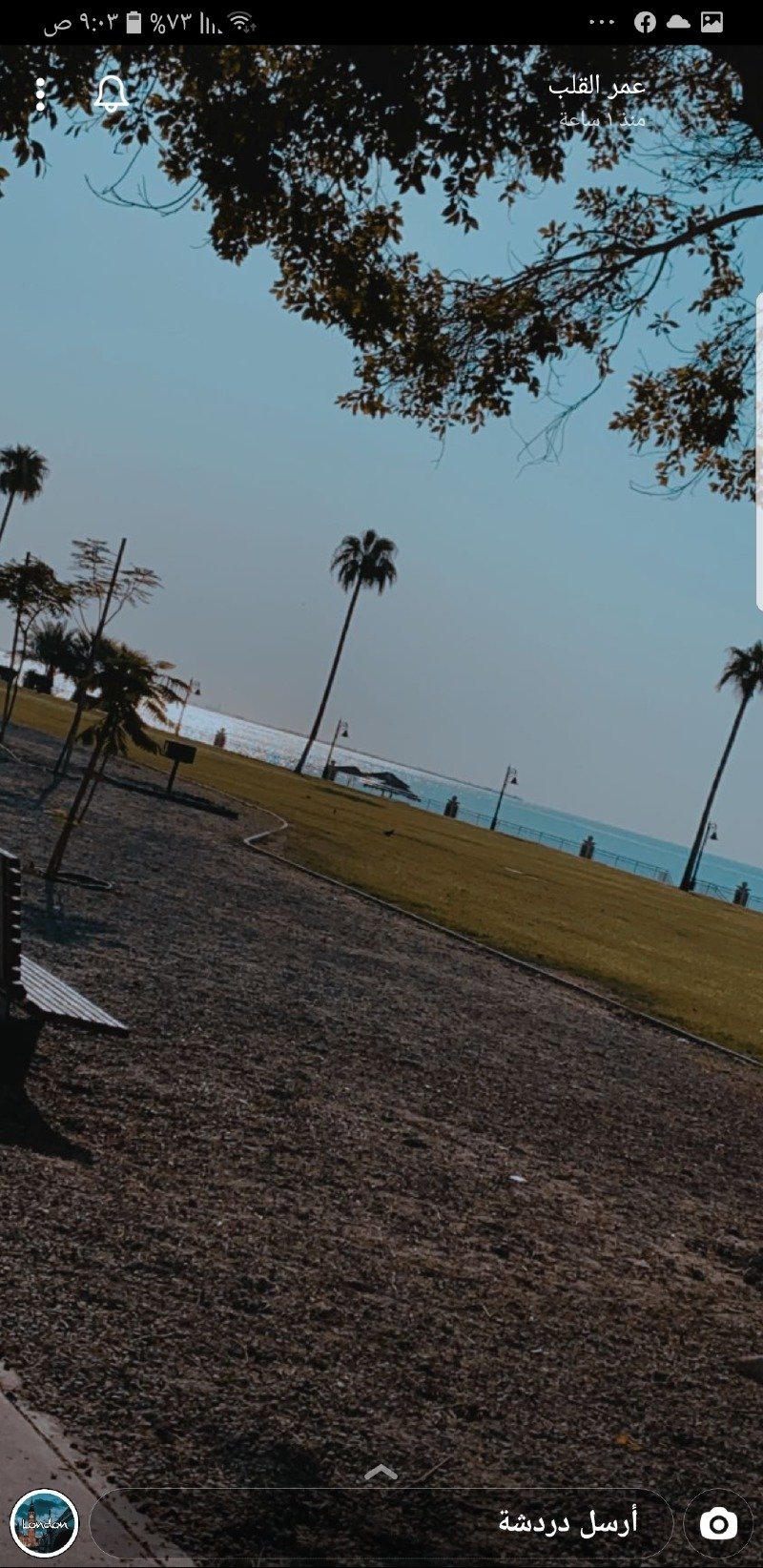 عبير عبدالعال