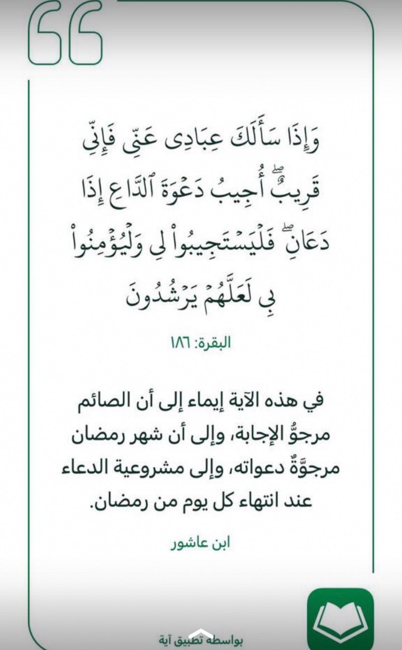 محمد أبو عبدالله