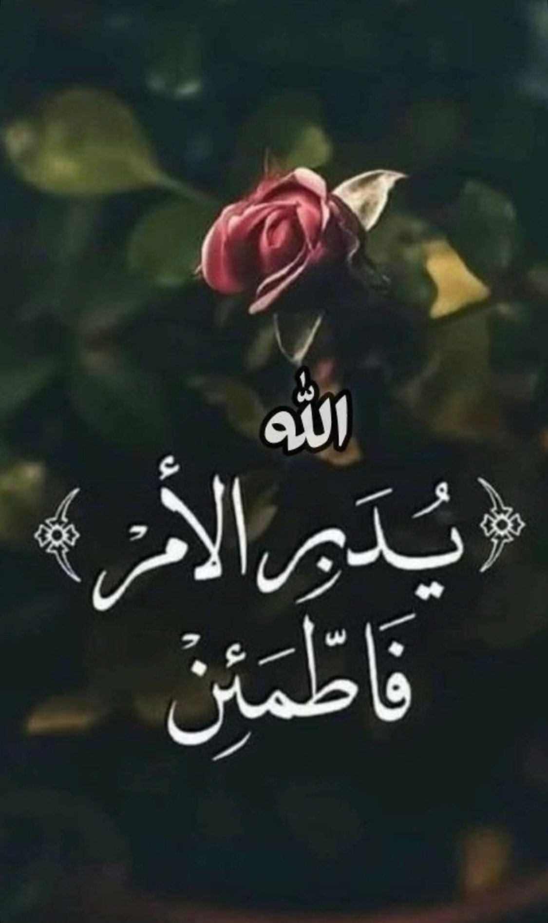 عبدالعزيز العتيبي