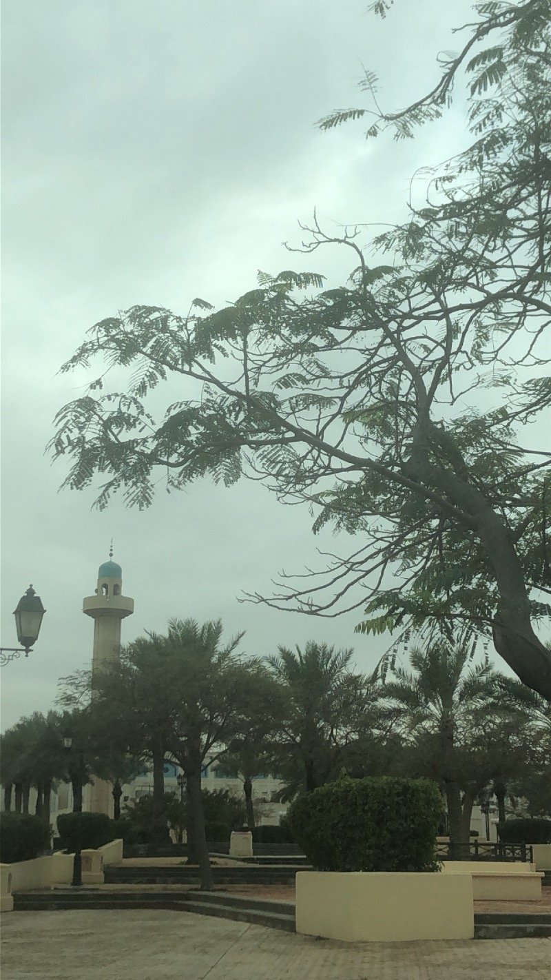 H Alsaif
