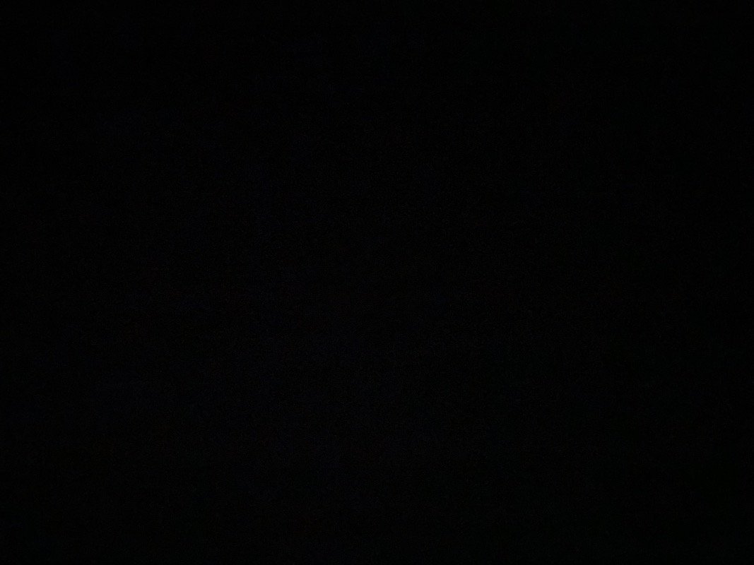 يسرى الشمري