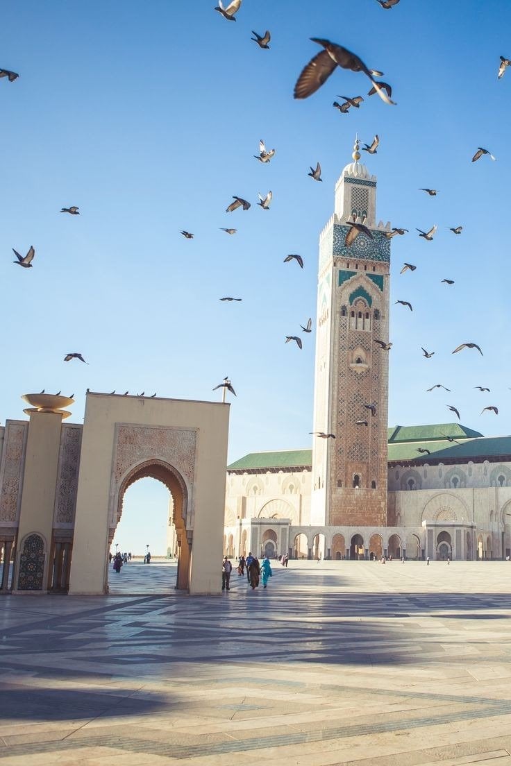 عبدالسلام البرعي