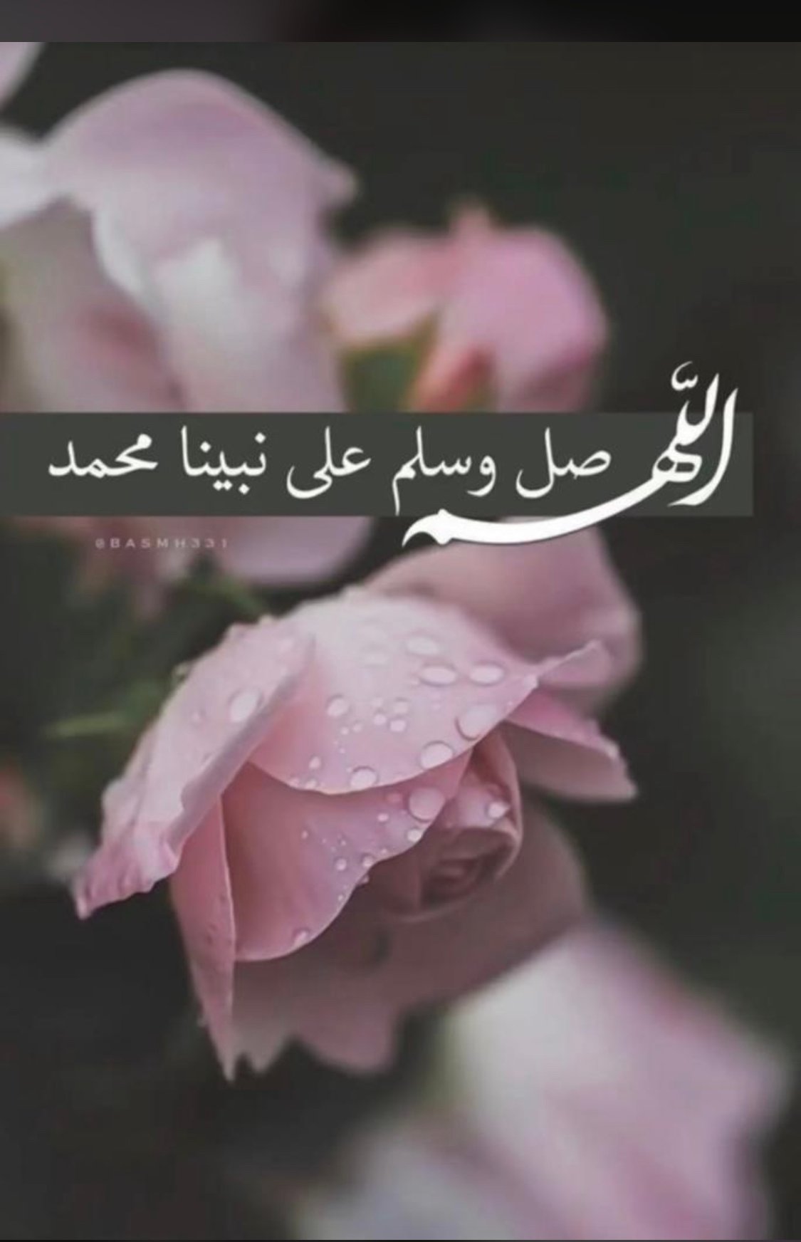 نوره سعيد الزهراني