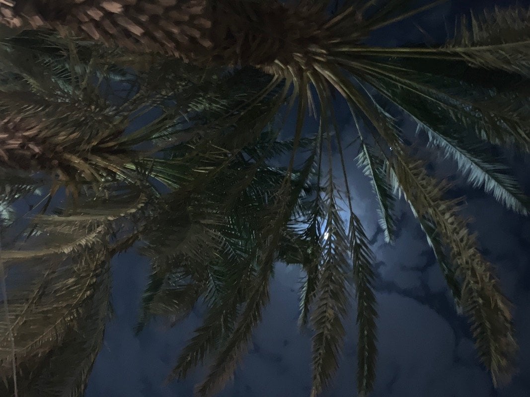 صبا السلمان