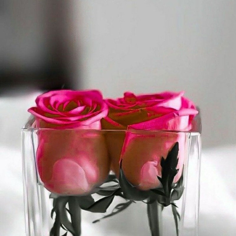فاطمه 
