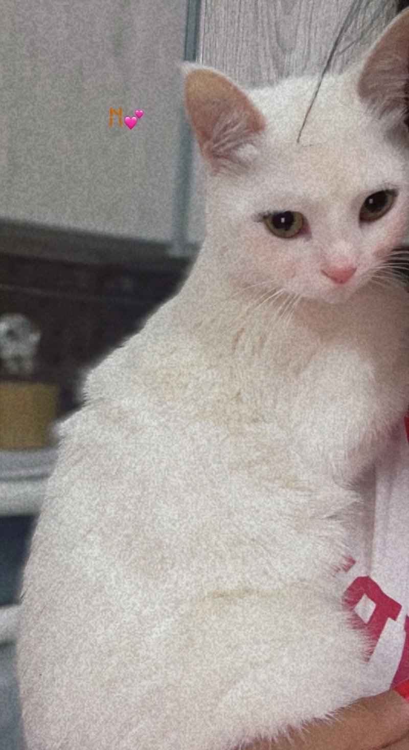 فاطمه البلوي