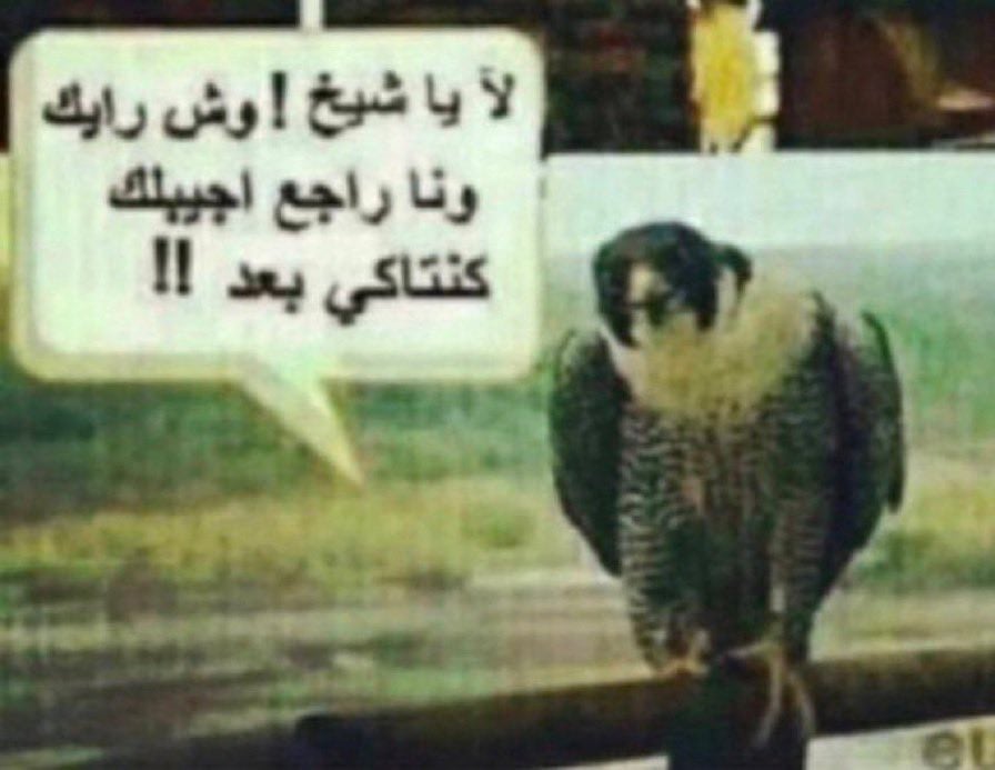 عبدالله الحربي