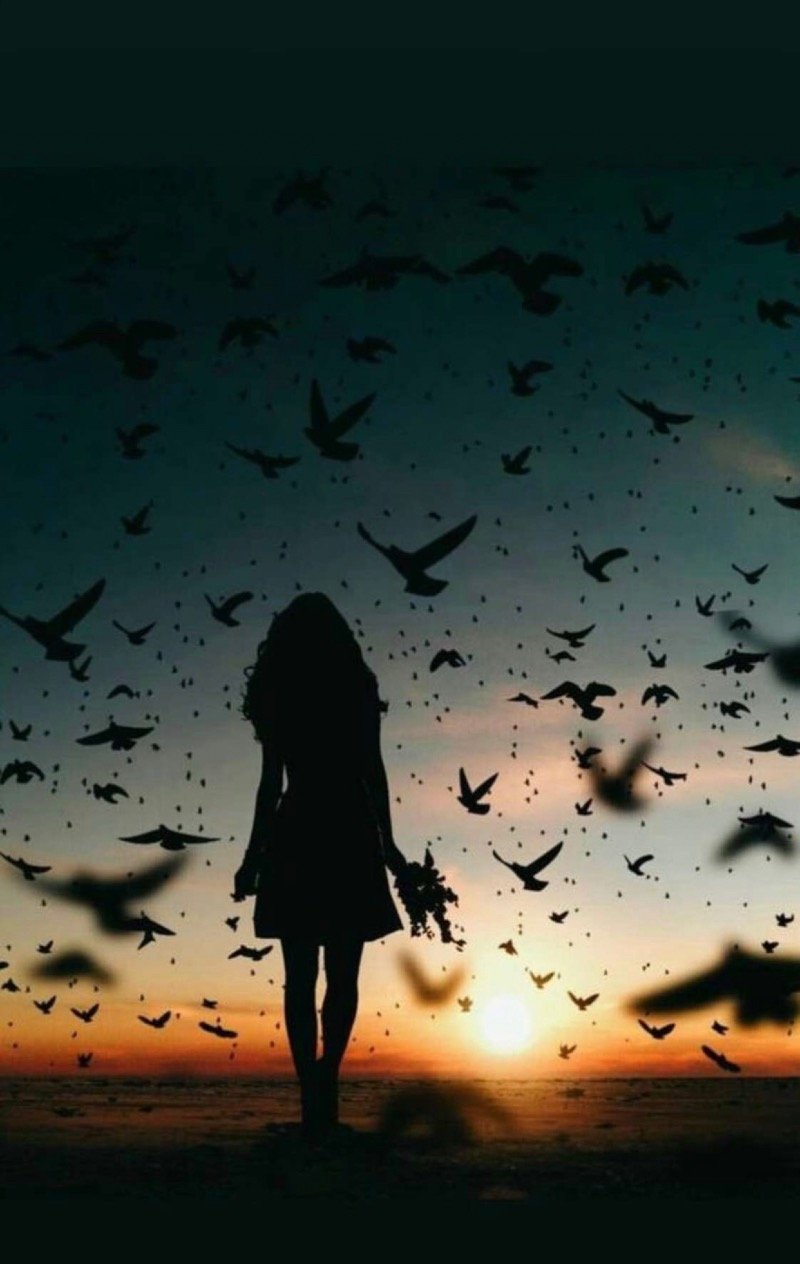 أحلام الشمري