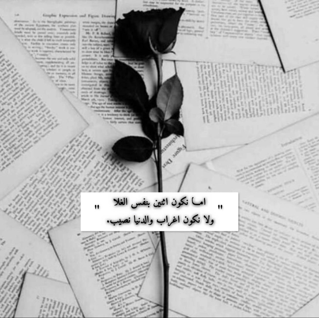 بسام العمرو