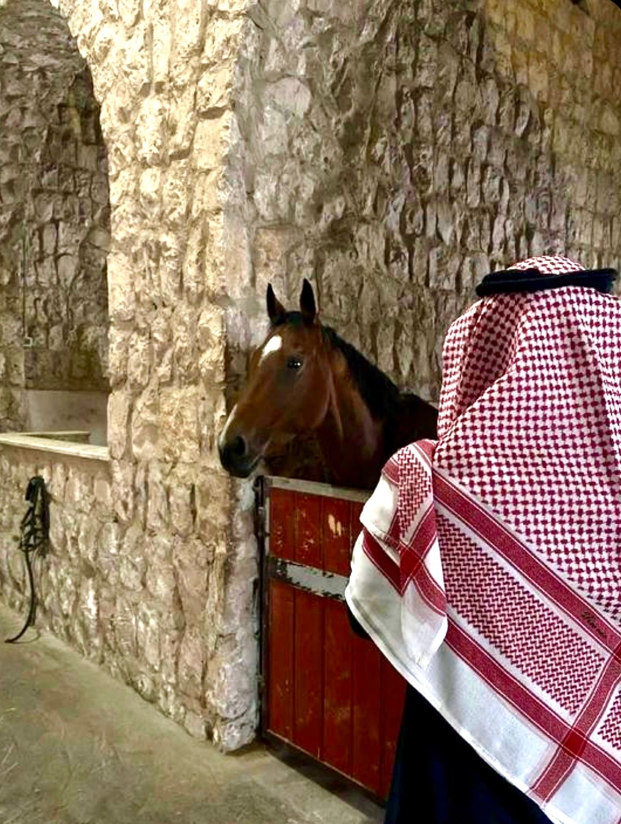 TURKI ALSHAMMARI