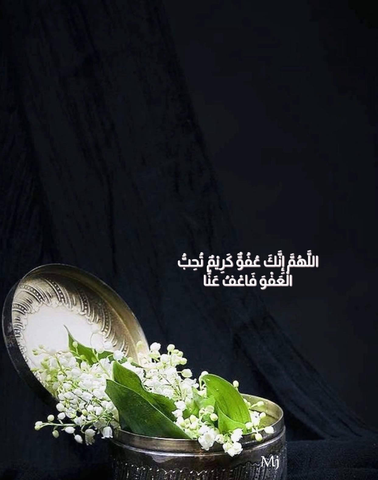 ام فهد العامري