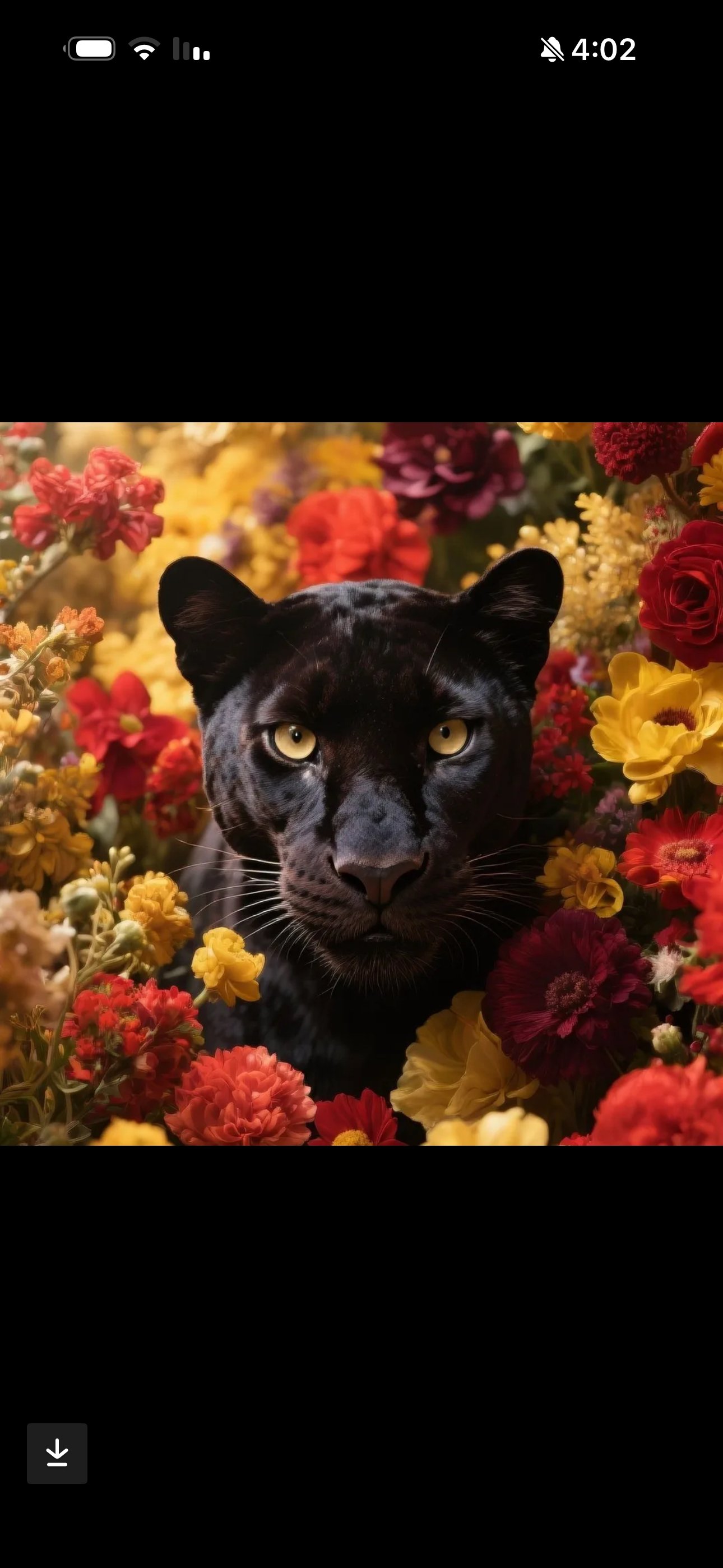 حلا الغامدي