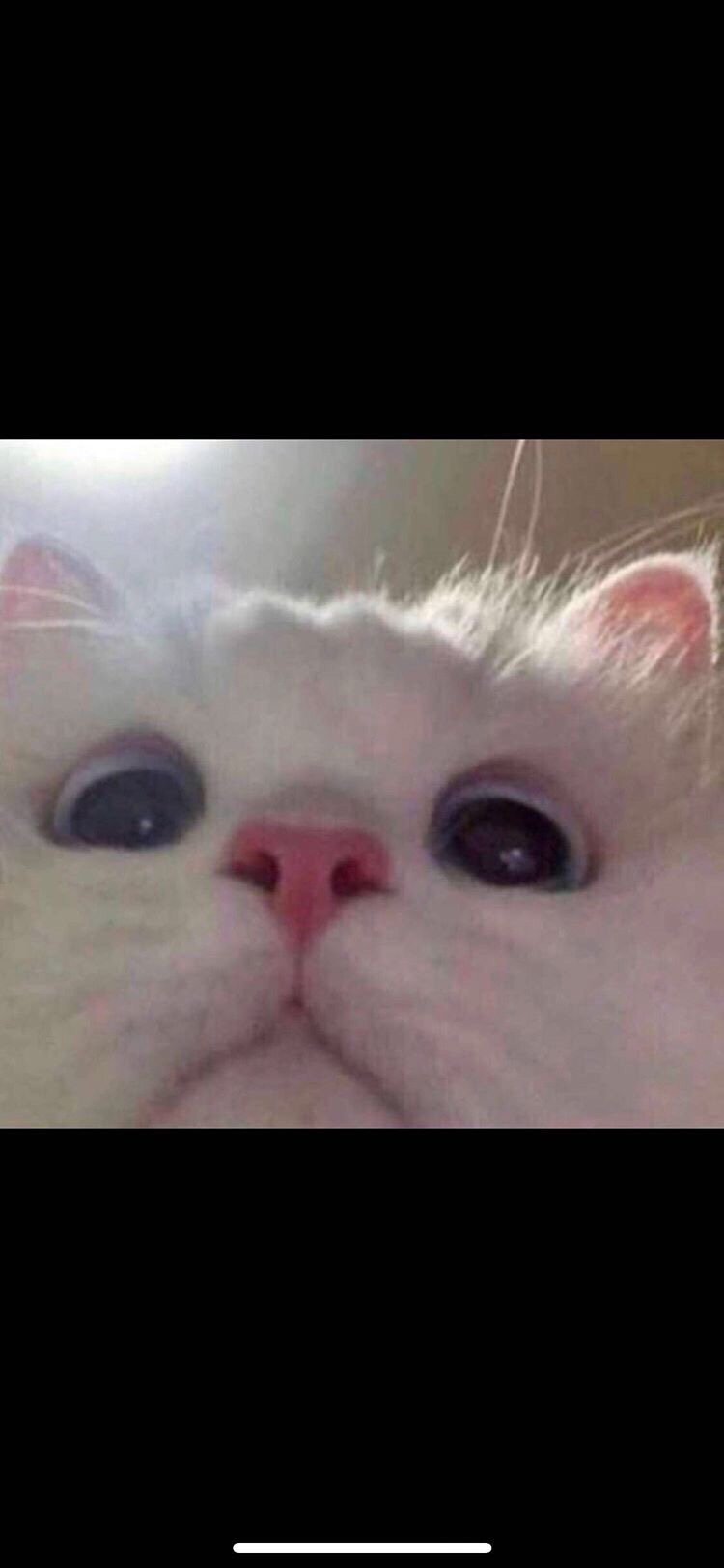 دعاء عبدالله