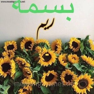 basmh الرشيديalreem